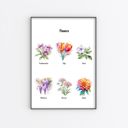 Educational Floral Posters Printable – Montessori Preschool Wall Art for Homeschool & Nursery (Part 9)