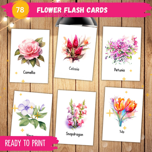 Flower Flash Cards Printable – 78 Montessori 3-Part Cards for Preschool & Homeschool