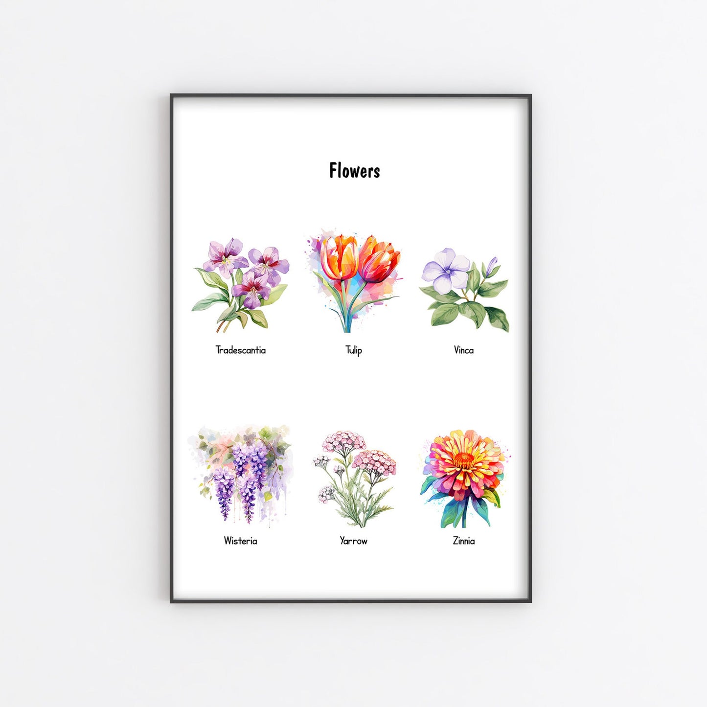 Educational Floral Posters Printable – Montessori Preschool Wall Art for Homeschool & Nursery (Part 9)