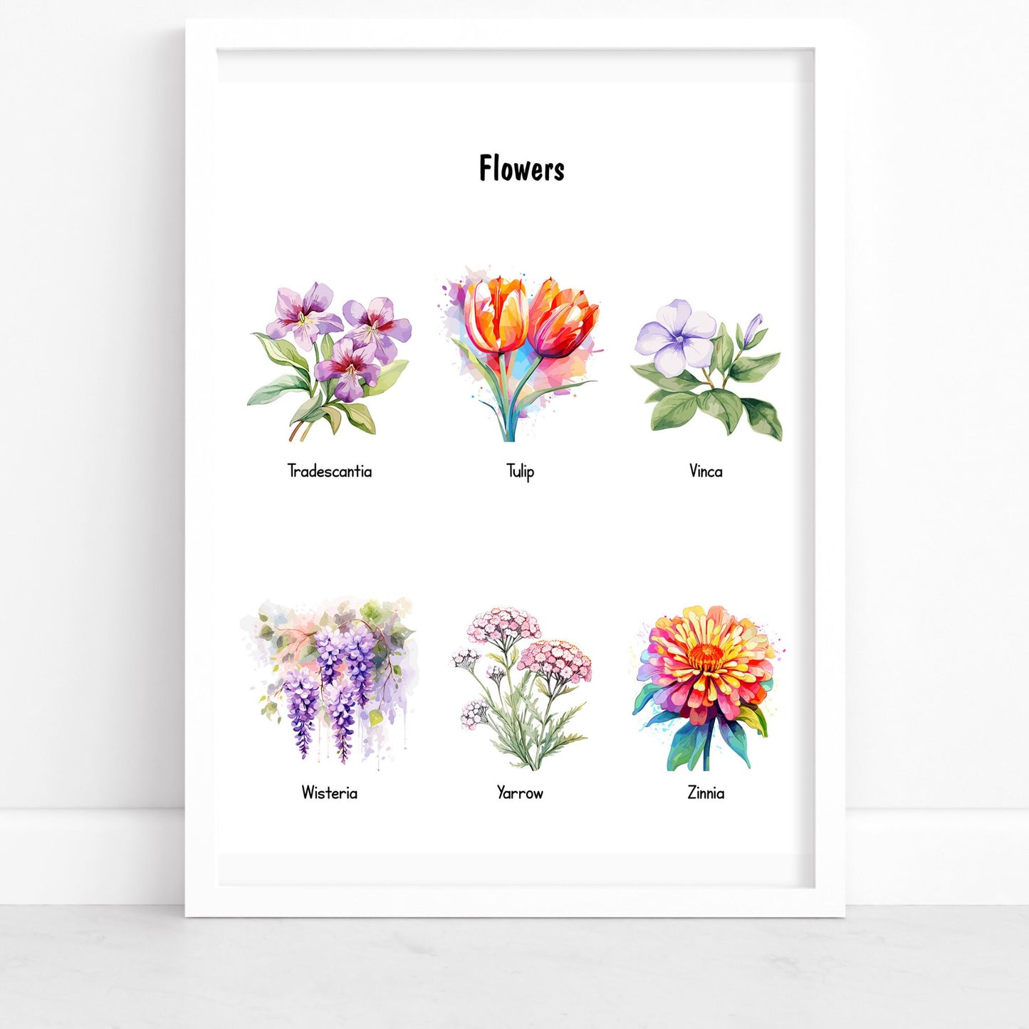 Educational Floral Posters Printable – Montessori Preschool Wall Art for Homeschool & Nursery (Part 9)