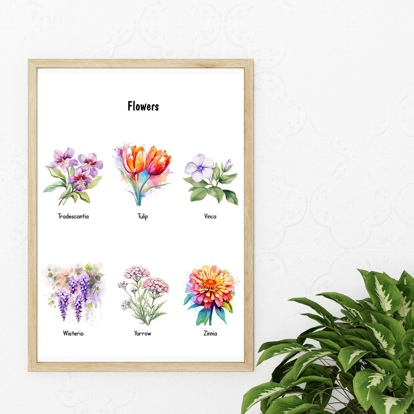 Educational Floral Posters Printable – Montessori Preschool Wall Art for Homeschool & Nursery (Part 9)