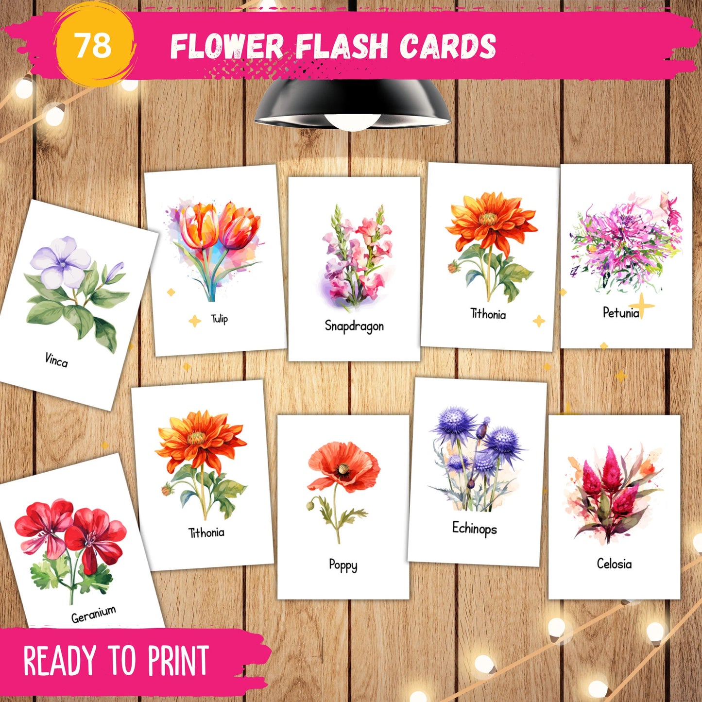 Flower Flash Cards Printable – 78 Montessori 3-Part Cards for Preschool & Homeschool