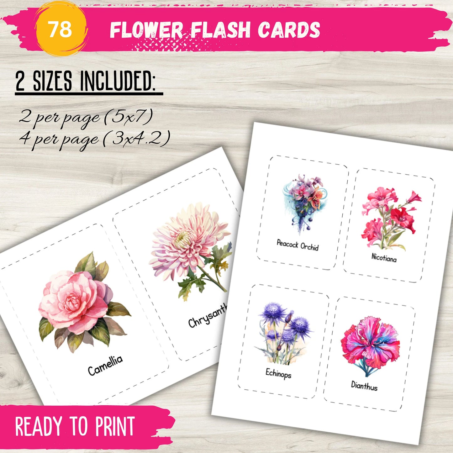Flower Flash Cards Printable – 78 Montessori 3-Part Cards for Preschool & Homeschool