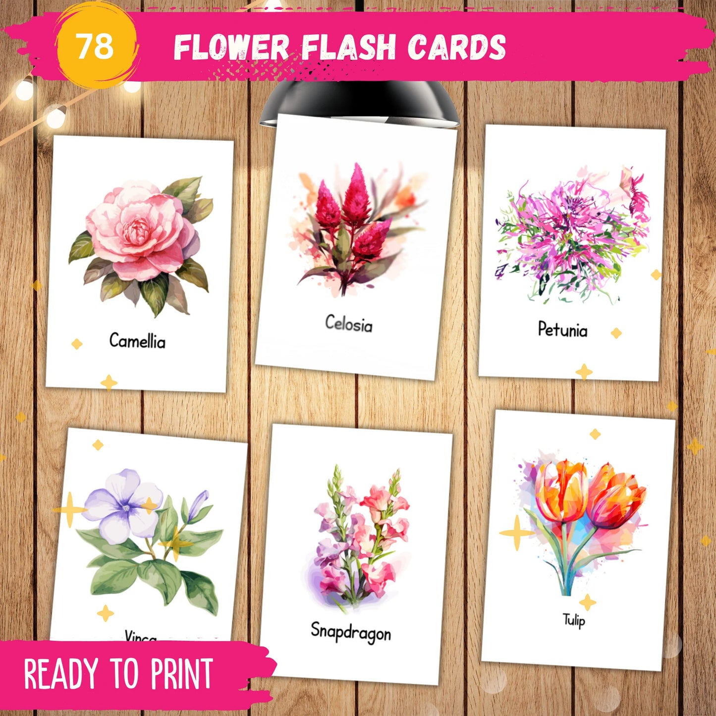 Flower Flash Cards Printable – 78 Montessori 3-Part Cards for Preschool & Homeschool