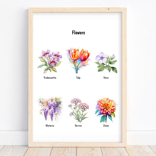 Educational Floral Posters Printable – Montessori Preschool Wall Art for Homeschool & Nursery (Part 9)