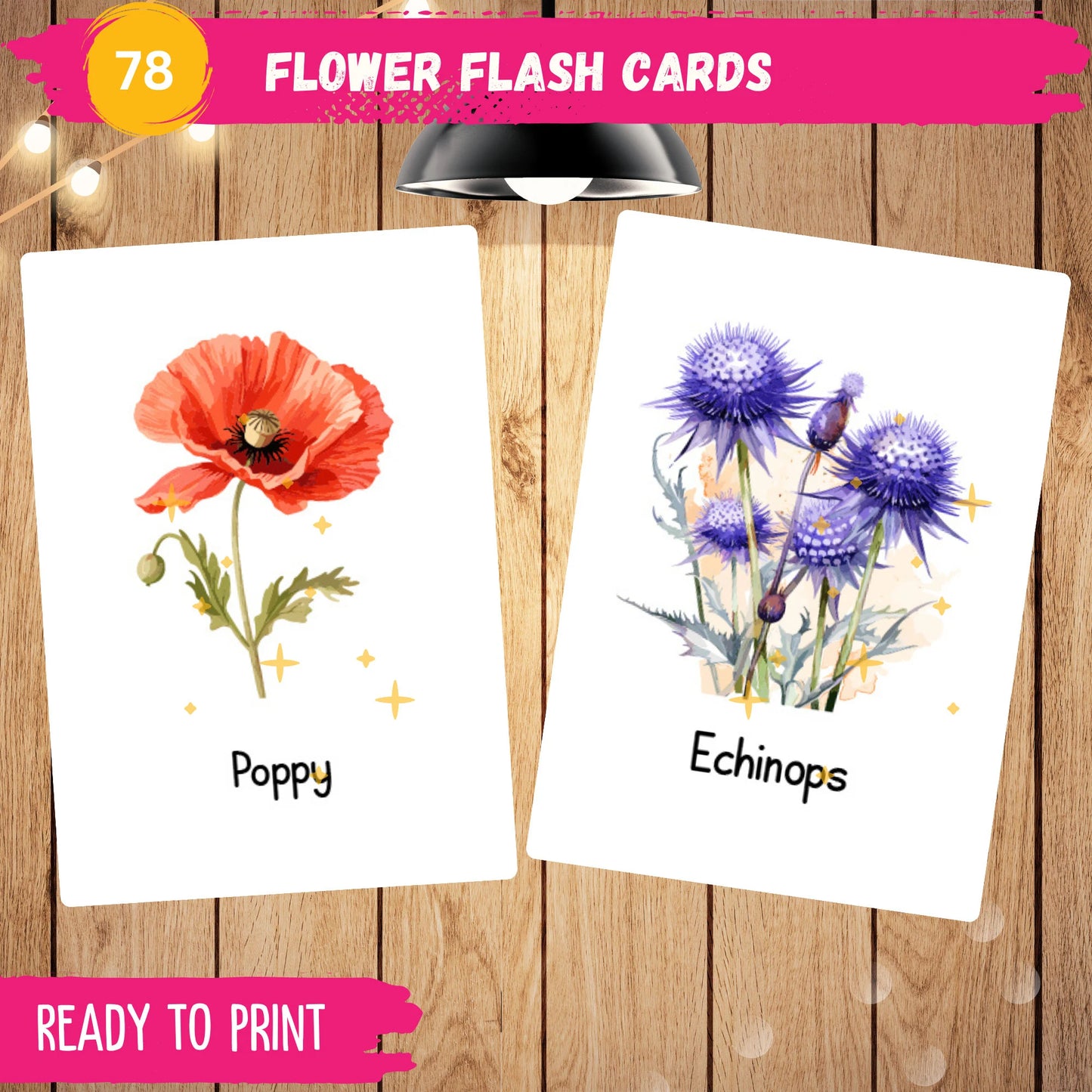 Flower Flash Cards Printable – 78 Montessori 3-Part Cards for Preschool & Homeschool